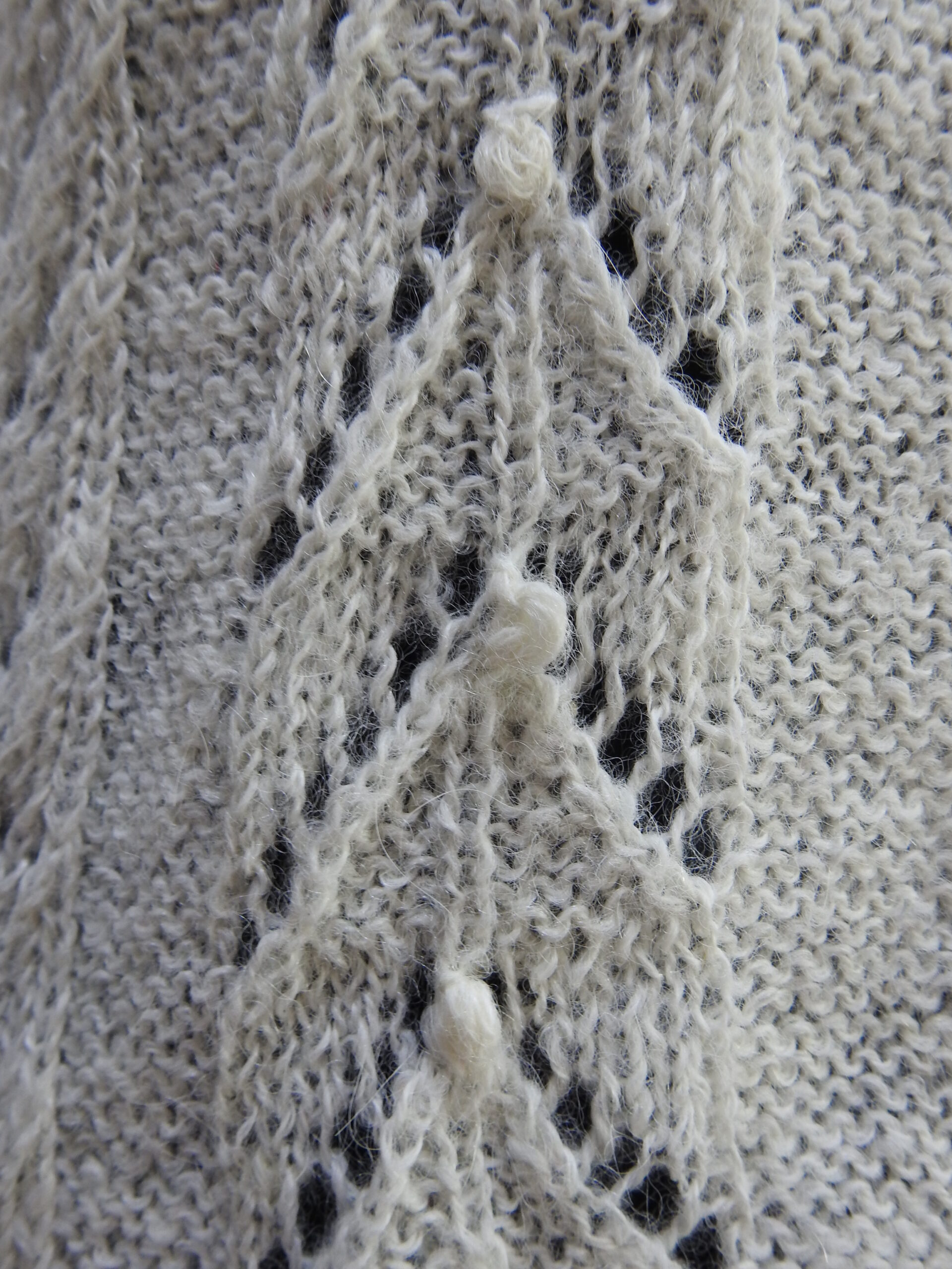DSCN0617